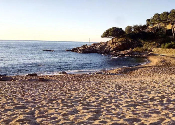 Daire Luxury Duplex - 2 Terraces - Private Tossa de Mar